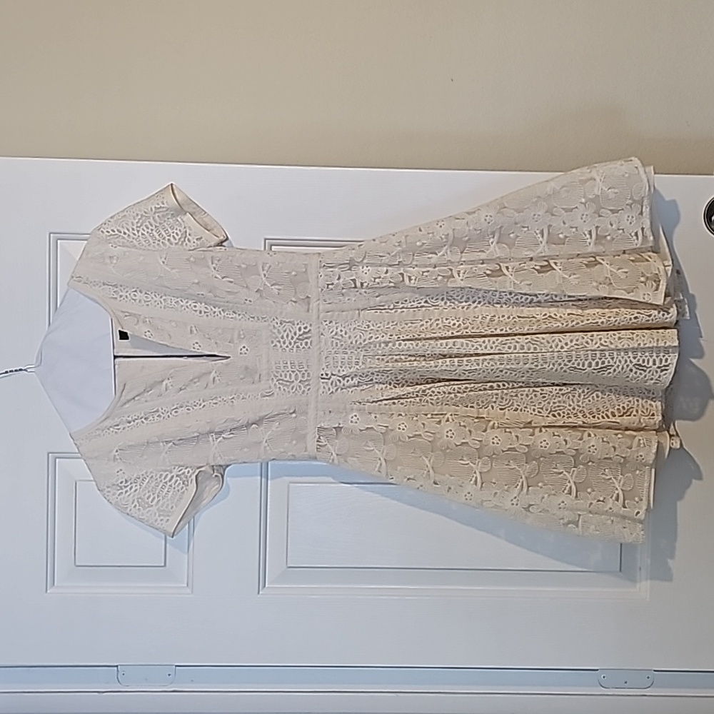Fit and Flare Lace Cream A-Line Dress by BCBGMAXAZRIA